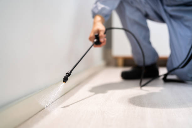 Licensed Termite Control service in Mendenhall, MS - Nex Pest Control