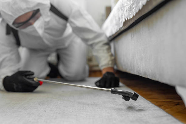 Professional Termite Control technician working in Mendenhall, MS