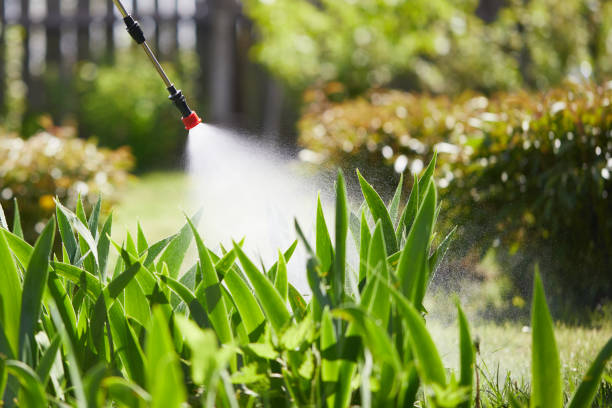24/7 Emergency Termite Control experts in Mendenhall, MS