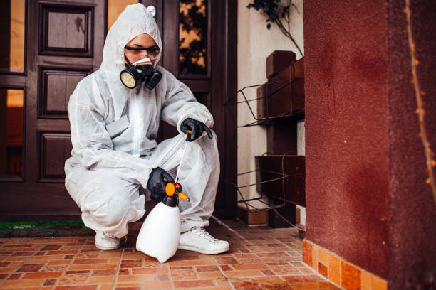 Reliable Termite Control contractor in Mendenhall, MS by Nex Pest Control