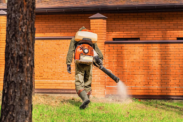 Top rated local Termite Control specialists in Mendenhall, MS